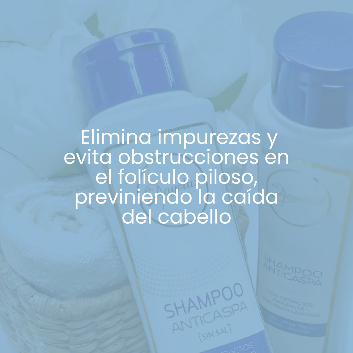 Champú anticaspa 500 ML