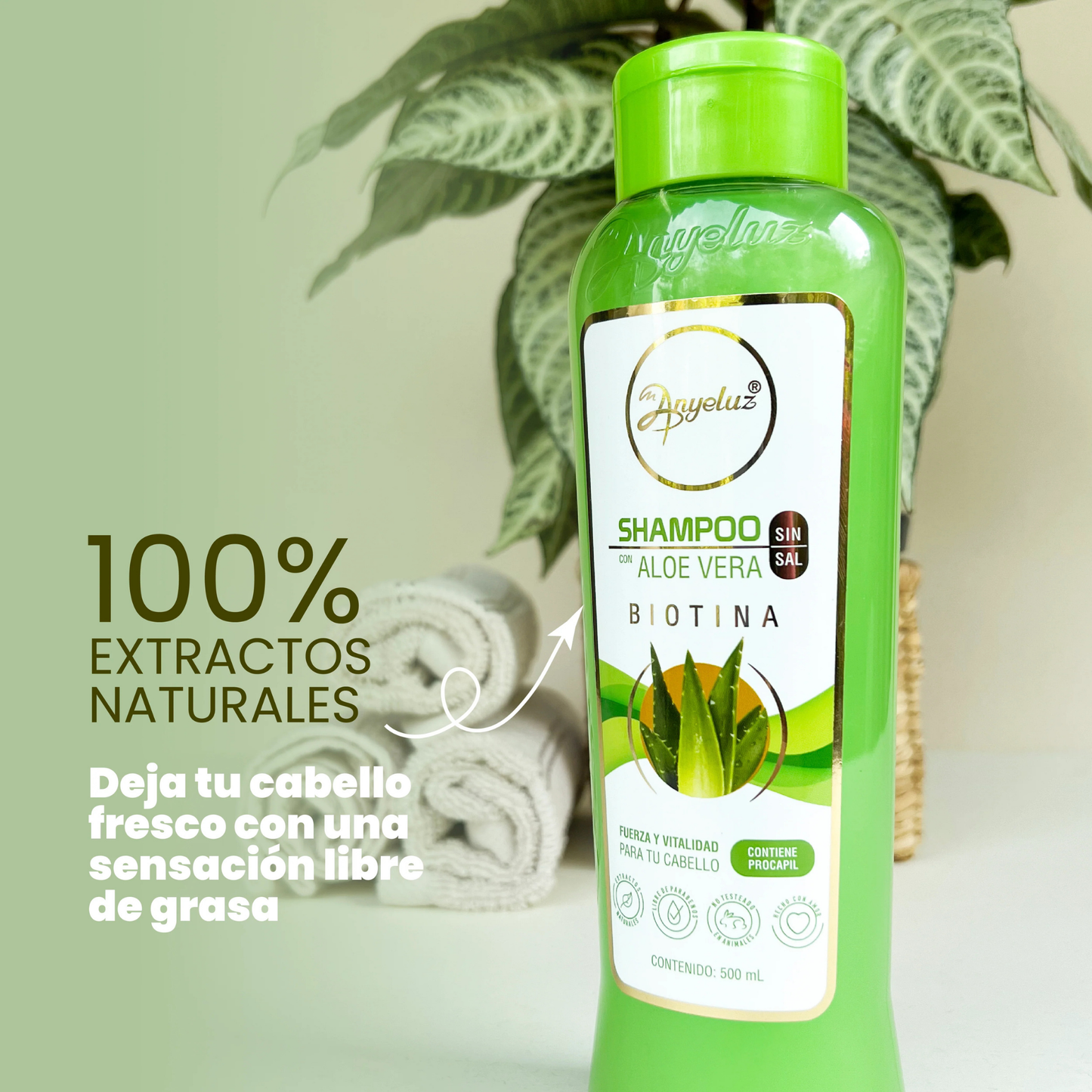 Champú Aloe Vera 500 ML