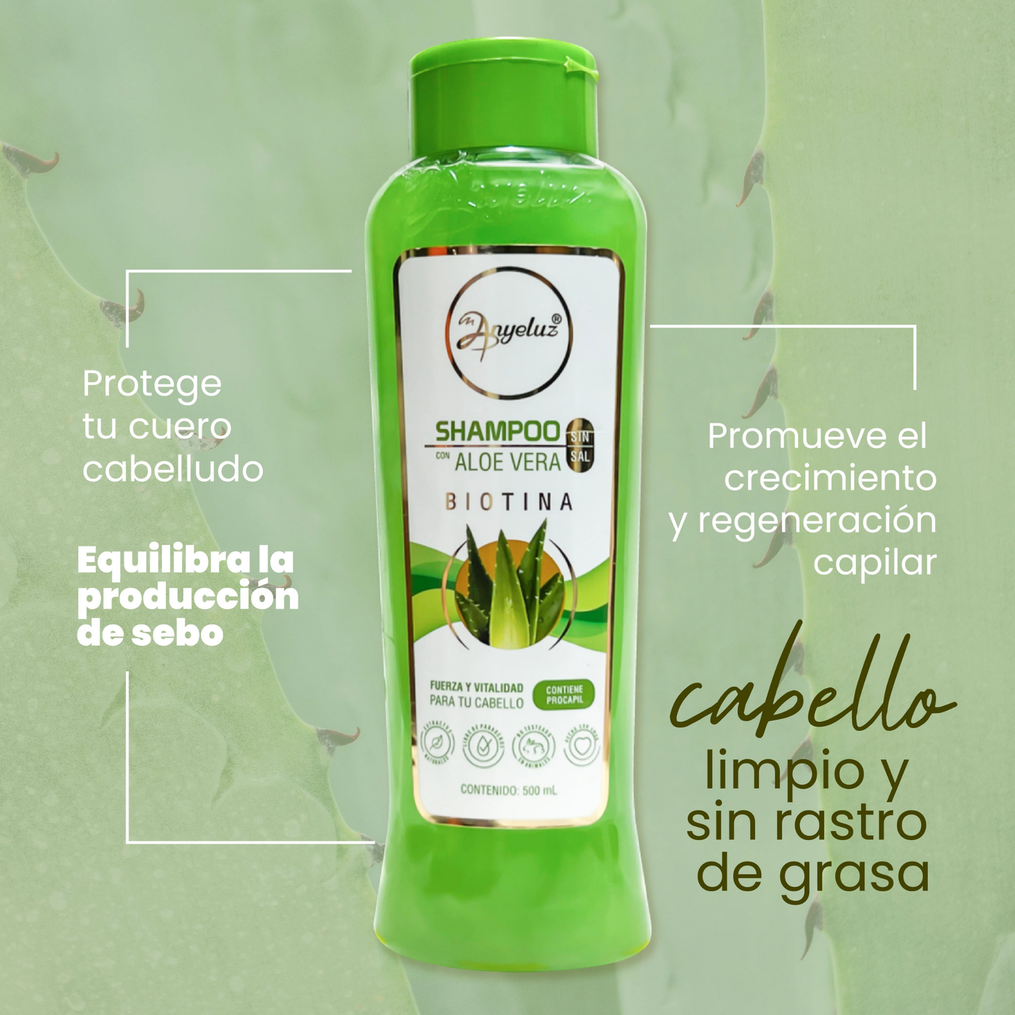 Champú Aloe Vera 500 ML