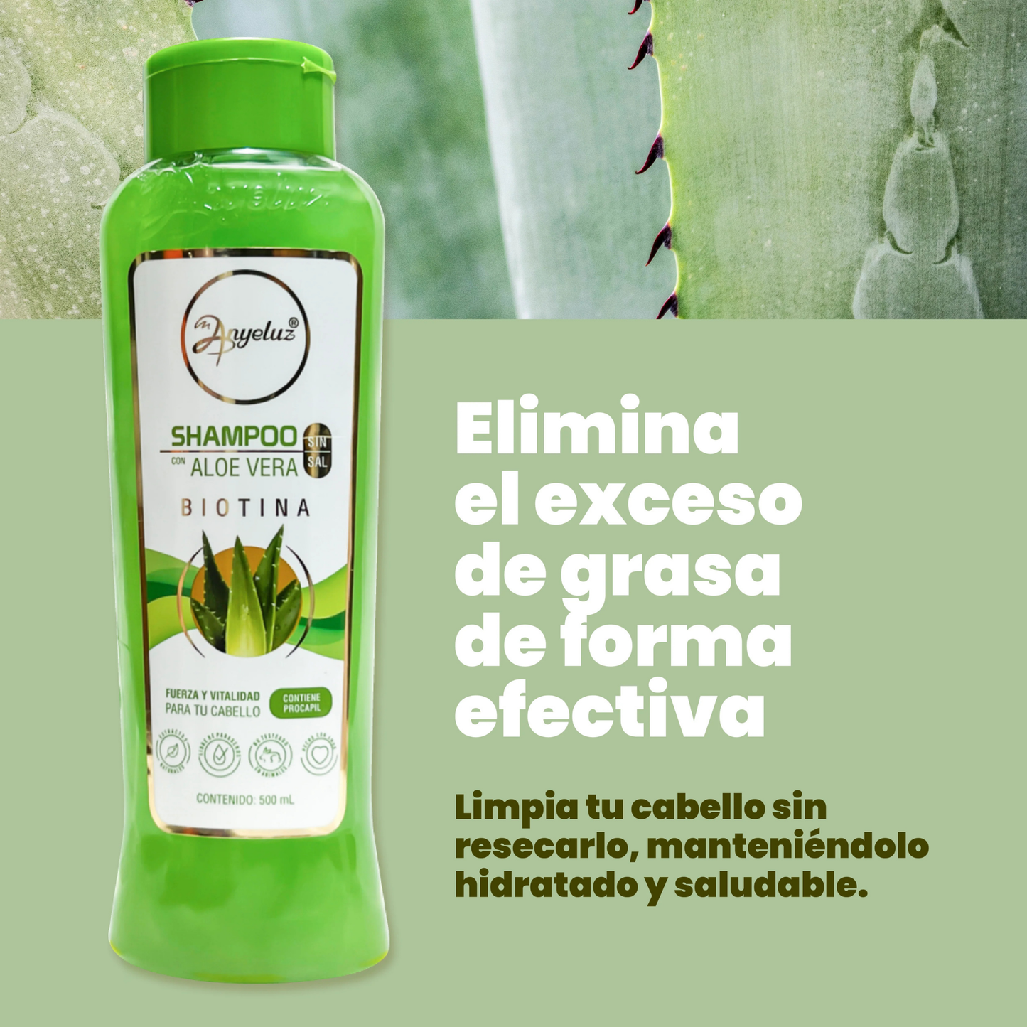 Champú Aloe Vera 500 ML