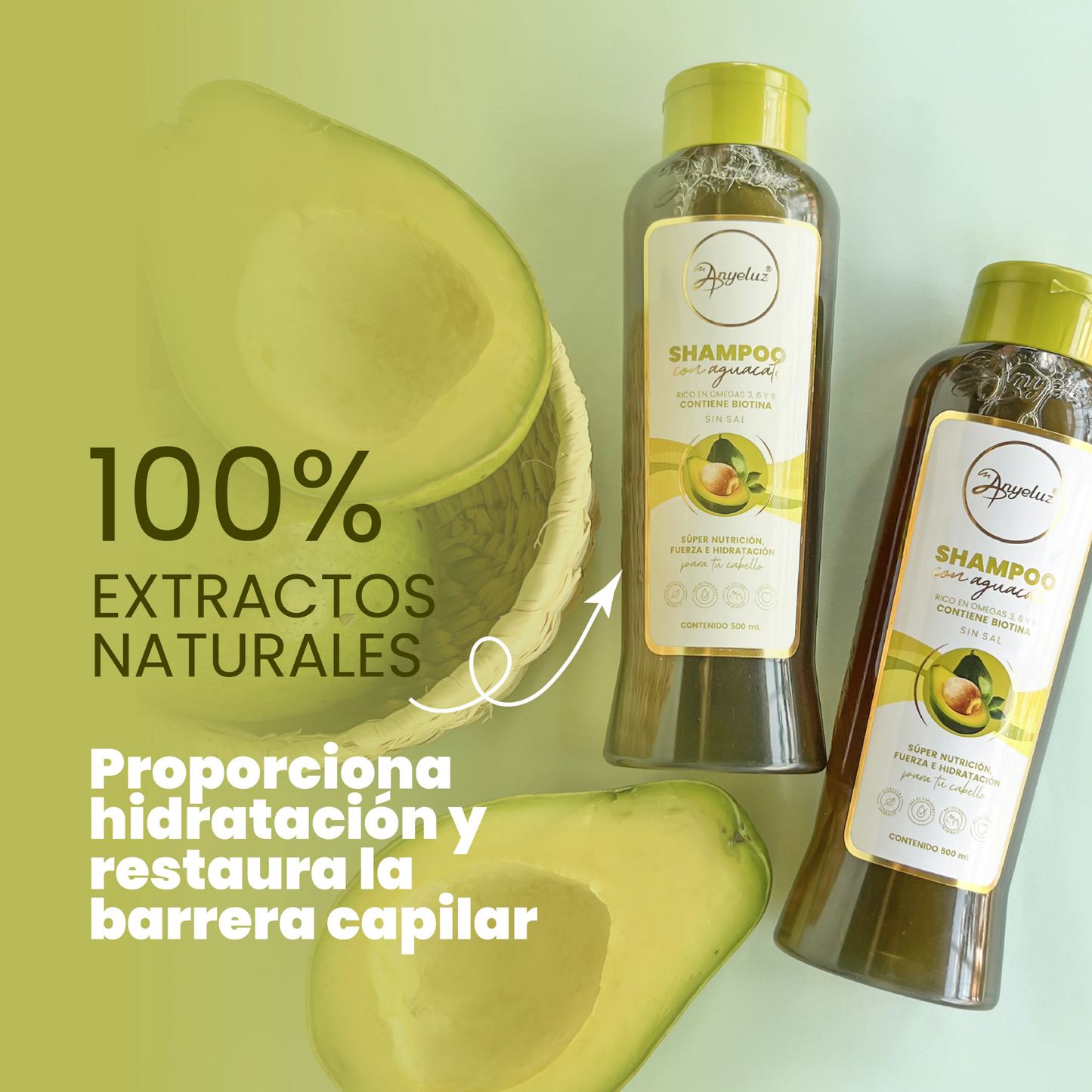 Shampoo with Avocado 500 ML