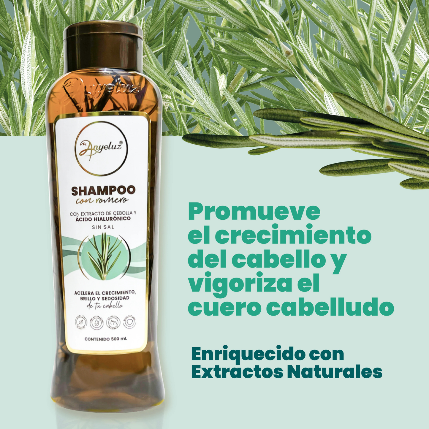 Champú con Romero 500 ML
