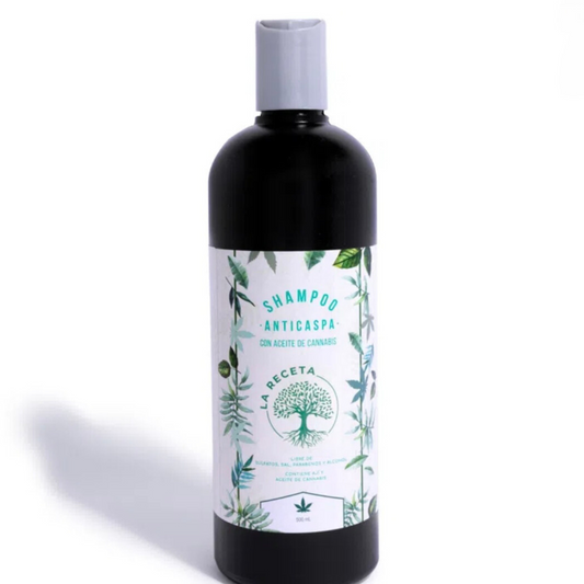 Anti-dandruff shampoo The Recipe 500 ML