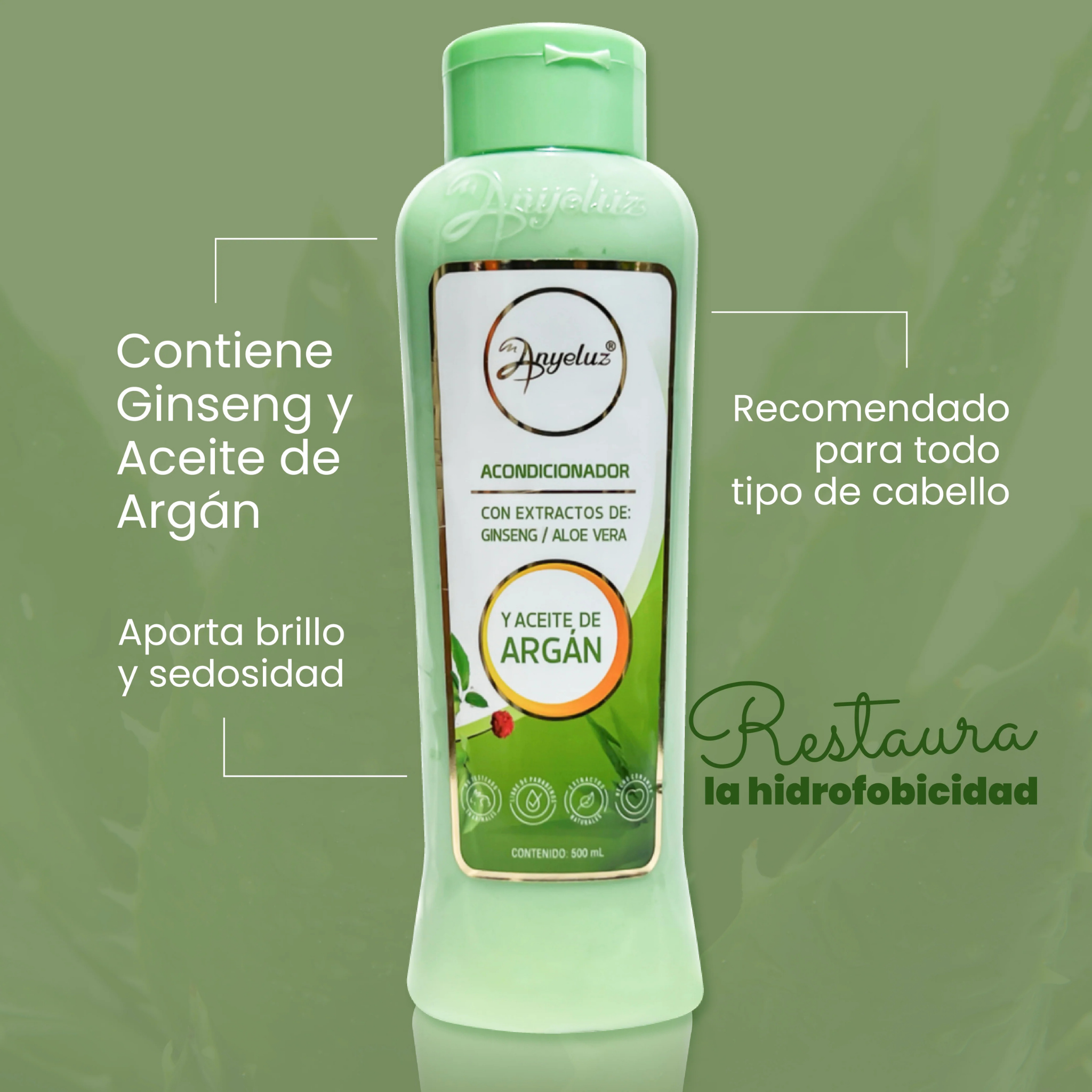 Argan Conditioner 500 ML