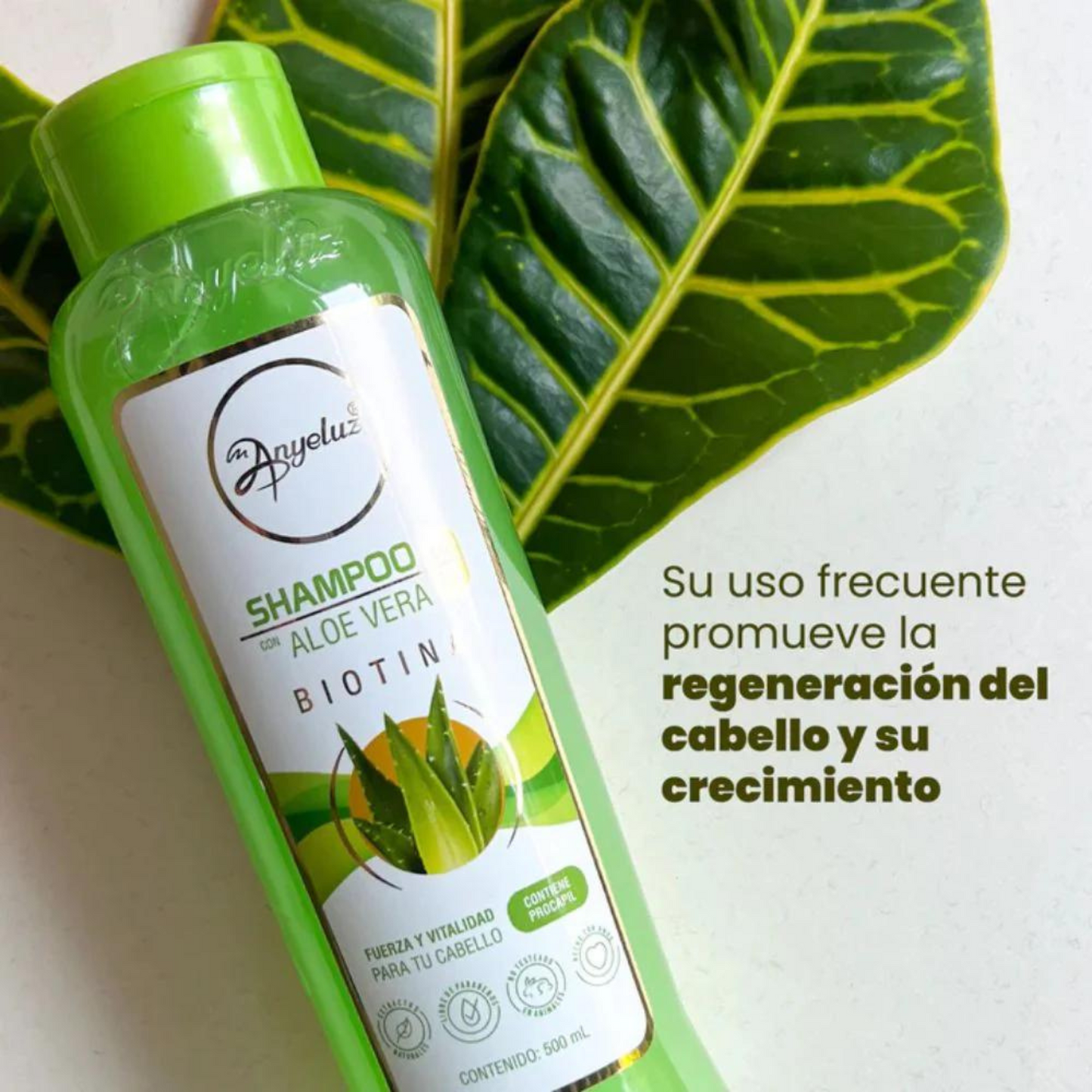 Aloe Vera Shampoo 500 ML